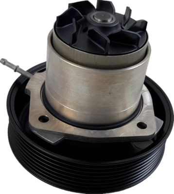 95810603303 Motorteile Wasserpumpe