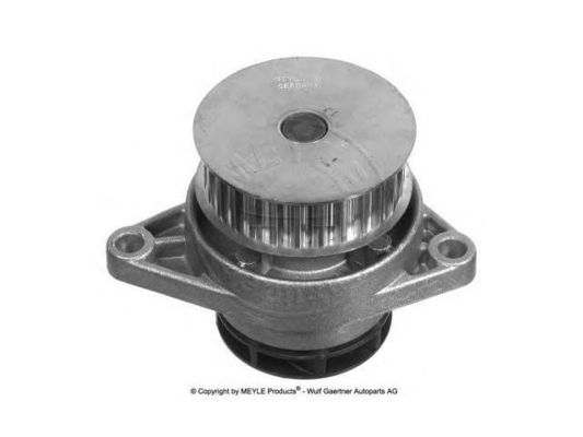 036121005P Motorteile Wasserpumpe