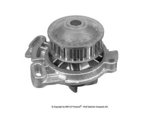 035121004A Motorteile Wasserpumpe
