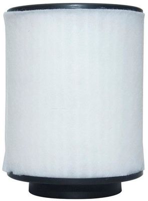 4H0129620L Motorteile Luftfilter