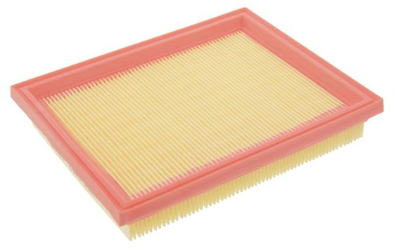 2S619601CA Motorteile Luftfilter