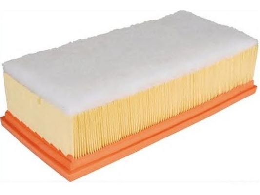 178010R010 Motorteile Luftfilter