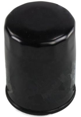 9091510004 Motorteile Ölfilter