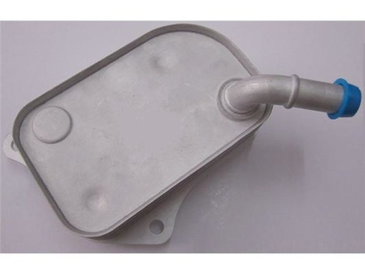 06B117021 Motorteile Ölkühler