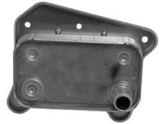 6111880101 Motorteile Ölkühler