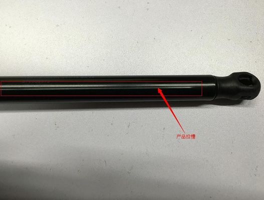 670007295 Gasfederkapsel