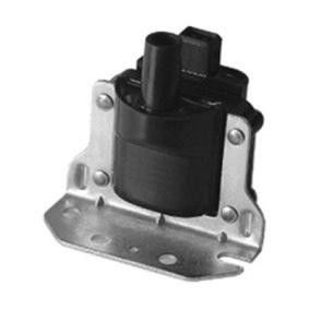 377905105D Motorteile Zündspule für